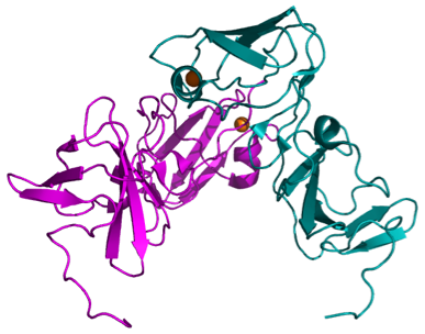 HCV NS5A protein domain 36-197